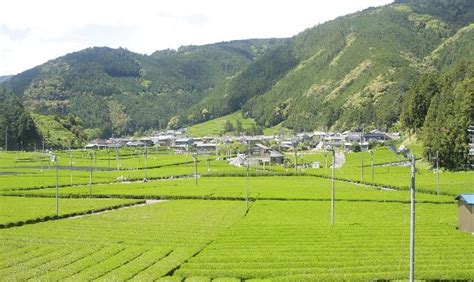 静岡市の発展場|【静岡県】スポット